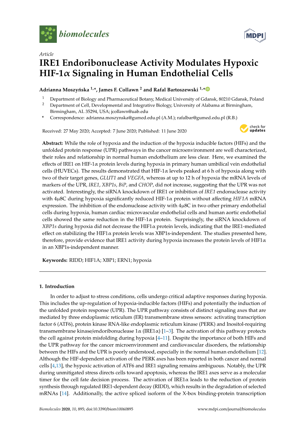 IRE1 Endoribonuclease Activity Modulates Hypoxic HIF-1Α Signaling in Human Endothelial Cells