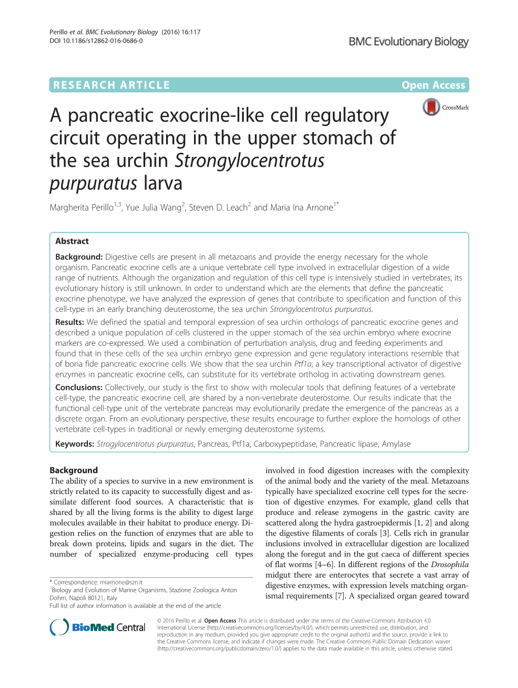 A Pancreatic Exocrine-Like Cell Regulatory Circuit Operating in The