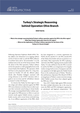 Turkey's Strategic Reasoning Behind Operation Olive Branch