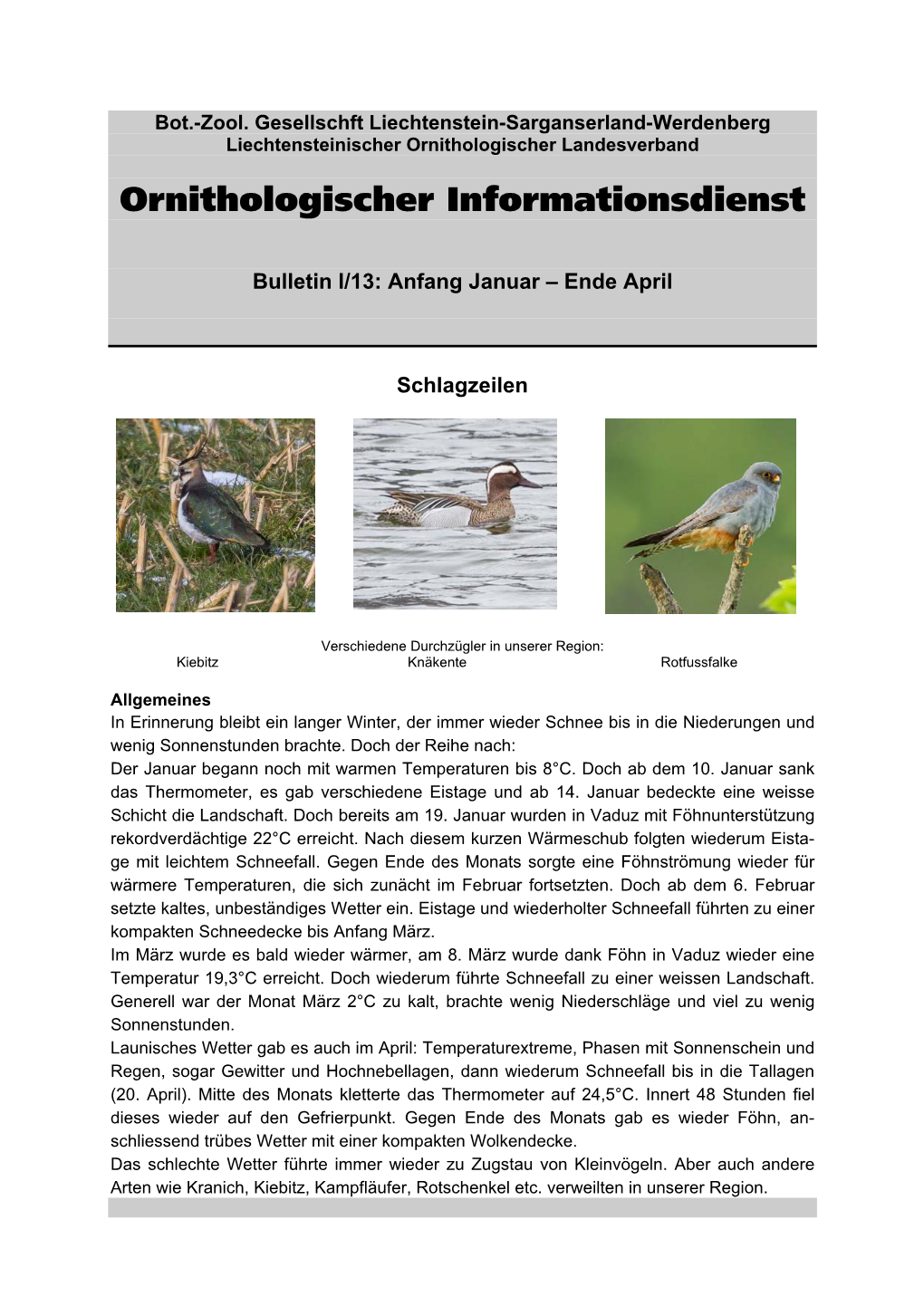 Ornithologischer Informationsdienst
