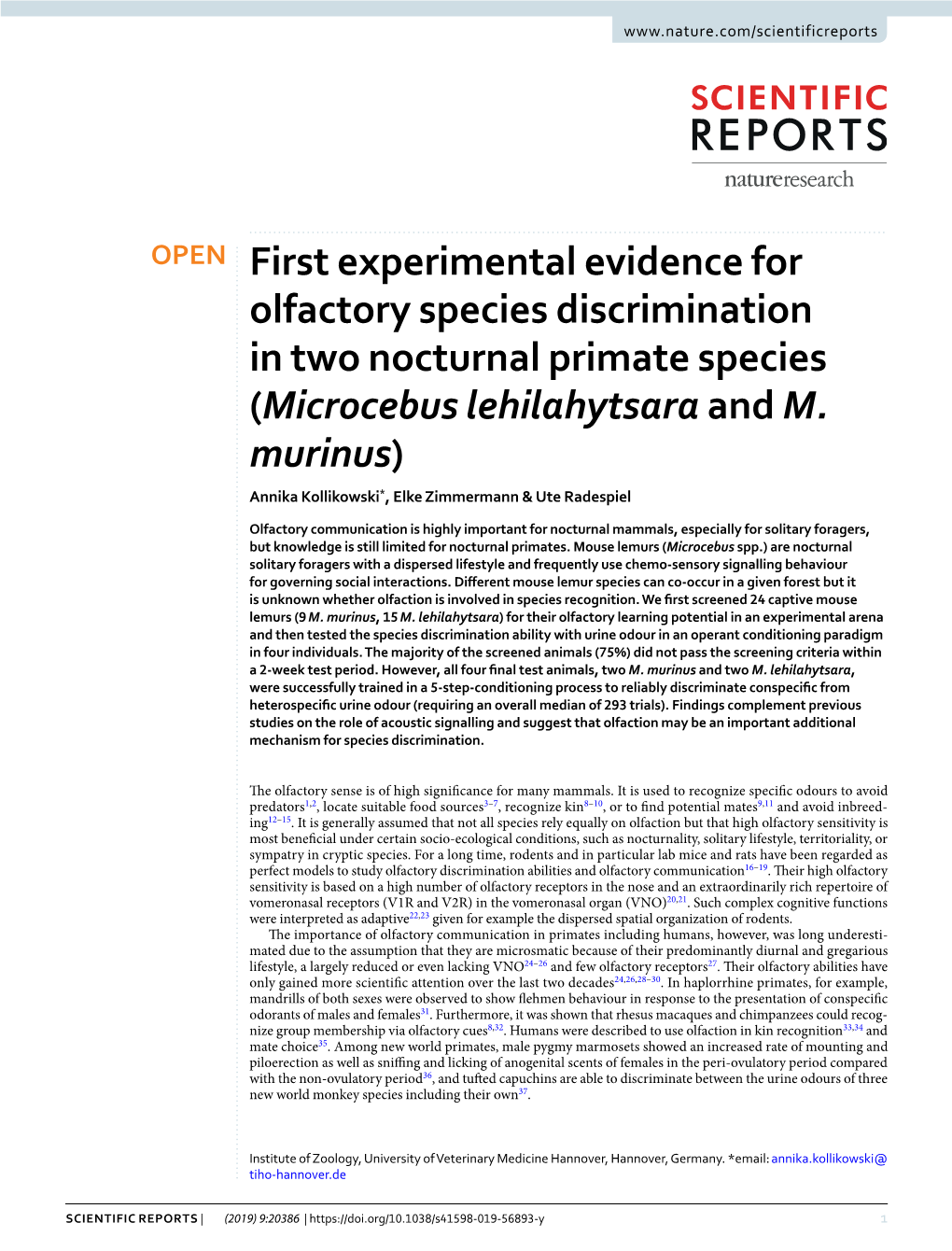 First Experimental Evidence for Olfactory Species Discrimination in Two Nocturnal Primate Species (Microcebus Lehilahytsara and M