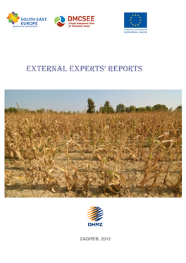 External Experts' Reports