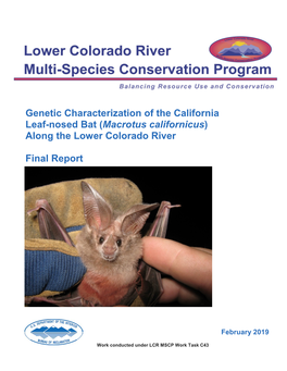 Genetic Characterization of the California Leaf-Nosed Bat (Macrotus Californicus) Along the Lower Colorado River, Final Report