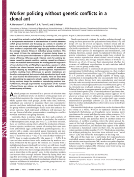 Worker Policing Without Genetic Conflicts in a Clonal Ant