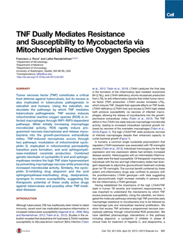 TNF Dually Mediates Resistance and Susceptibility to Mycobacteria Via Mitochondrial Reactive Oxygen Species