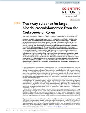 Trackway Evidence for Large Bipedal Crocodylomorphs from the Cretaceous of Korea Kyung Soo Kim1, Martin G