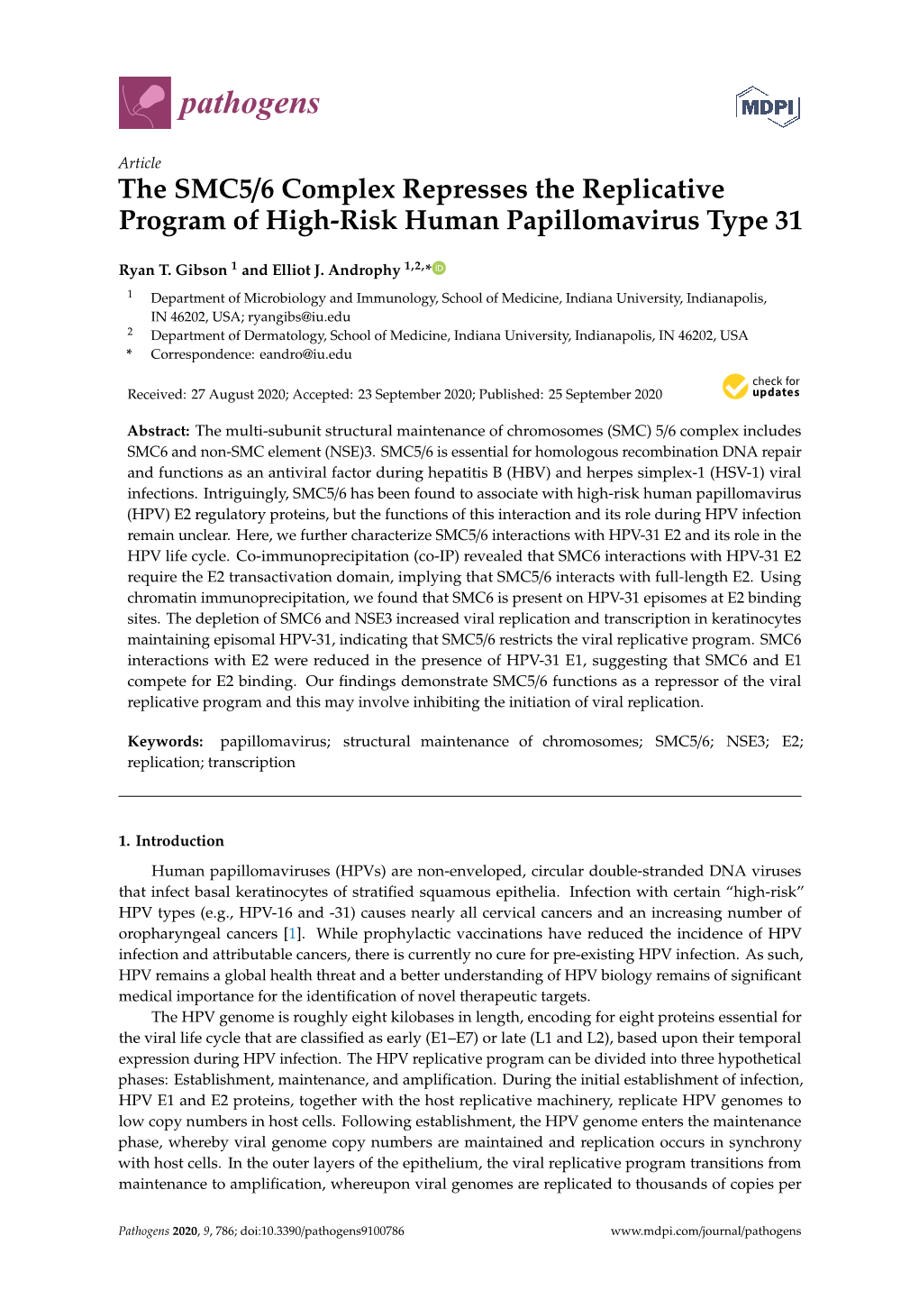 The SMC5/6 Complex Represses the Replicative Program of High-Risk Human Papillomavirus Type 31