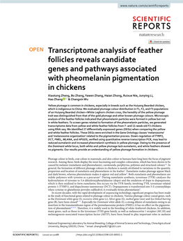 Transcriptome Analysis of Feather Follicles Reveals Candidate Genes