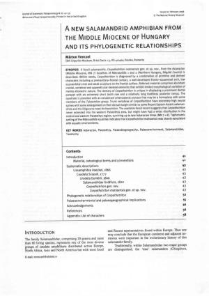 Page 1 Lournol of Systemotic Polaeontology 6 (R)' 4T-Sg Doi:To.Tot7