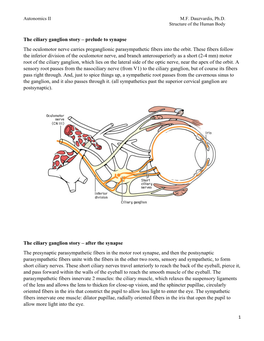 The Ciliary Ganglion Story – Prelude to Synapse the Oculomotor Nerve Carries Preganglionic Parasympathetic Fibers Into the Orbit