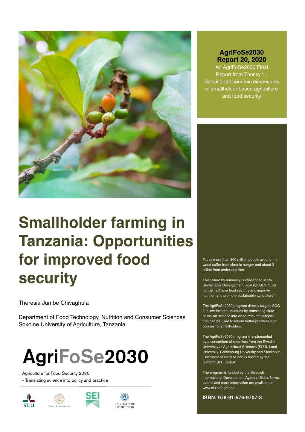 Smallholder Farming in Tanzania: Opportunities