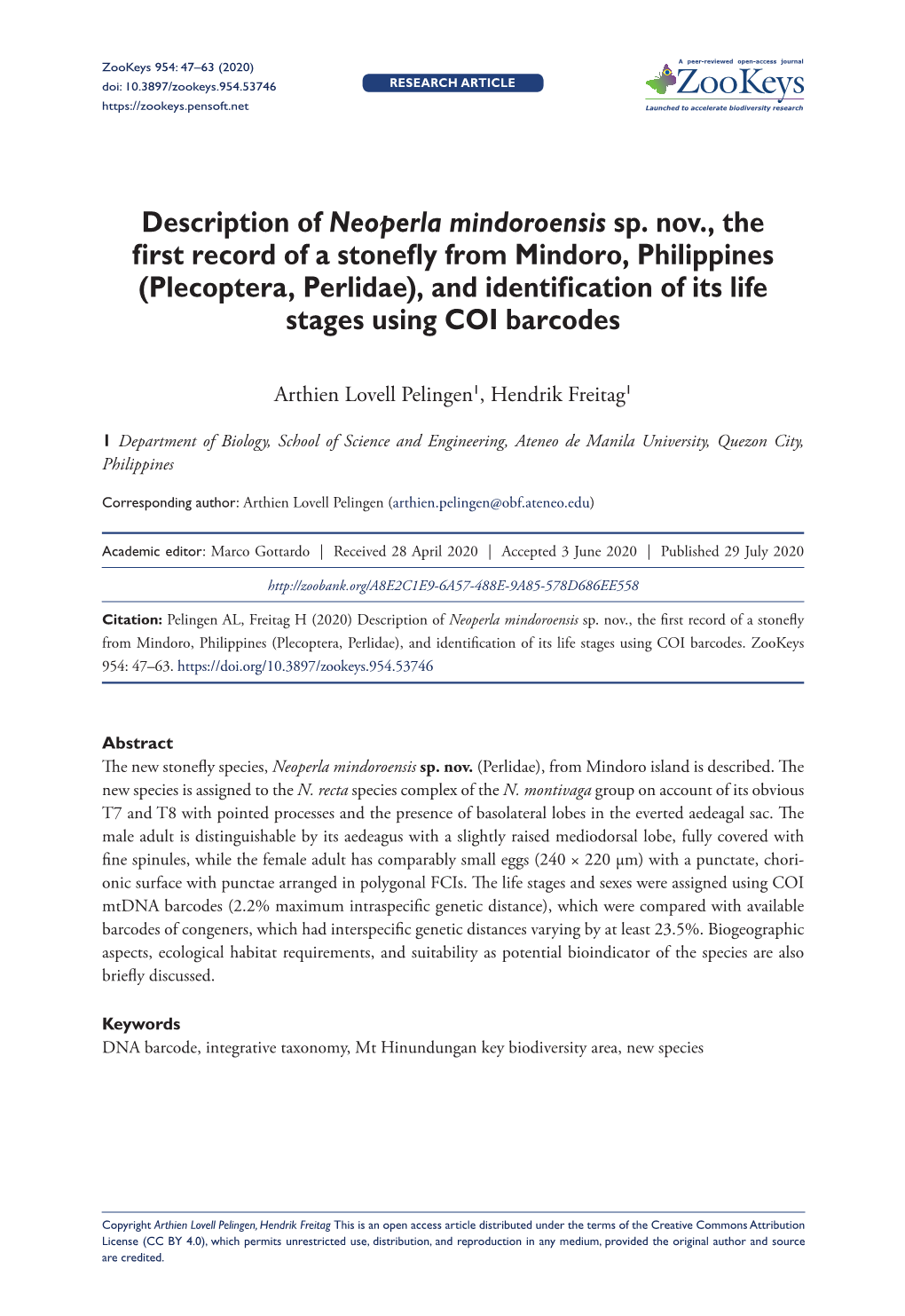 Description of Neoperla Mindoroensis Sp. Nov., the First Record of a Stonefly from Mindoro, Philippines