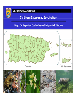 Caribbean Endangered Species Map