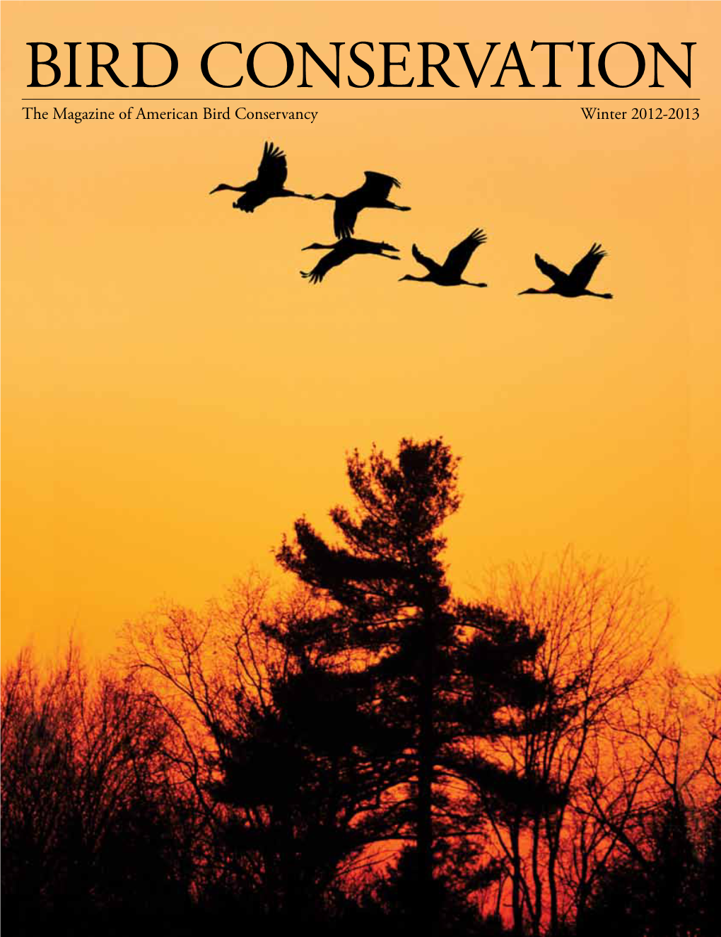 BIRD CONSERVATION the Magazine of American Bird Conservancy Winter 2012-2013 BIRD’S EYE VIEW Travelers’ Tales