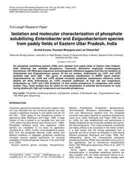 Isolation and Molecular Characterization of Phosphate Solubilizing Enterobacter and Exiguobacterium Species from Paddy Fields of Eastern Uttar Pradesh, India
