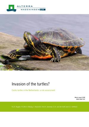 Invasion of the Turtles? Wageningen Approach