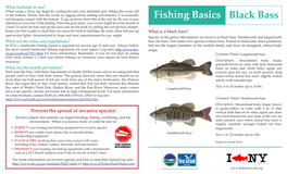 Fishing Basics Black Bass Attention to Your Line While Fishing