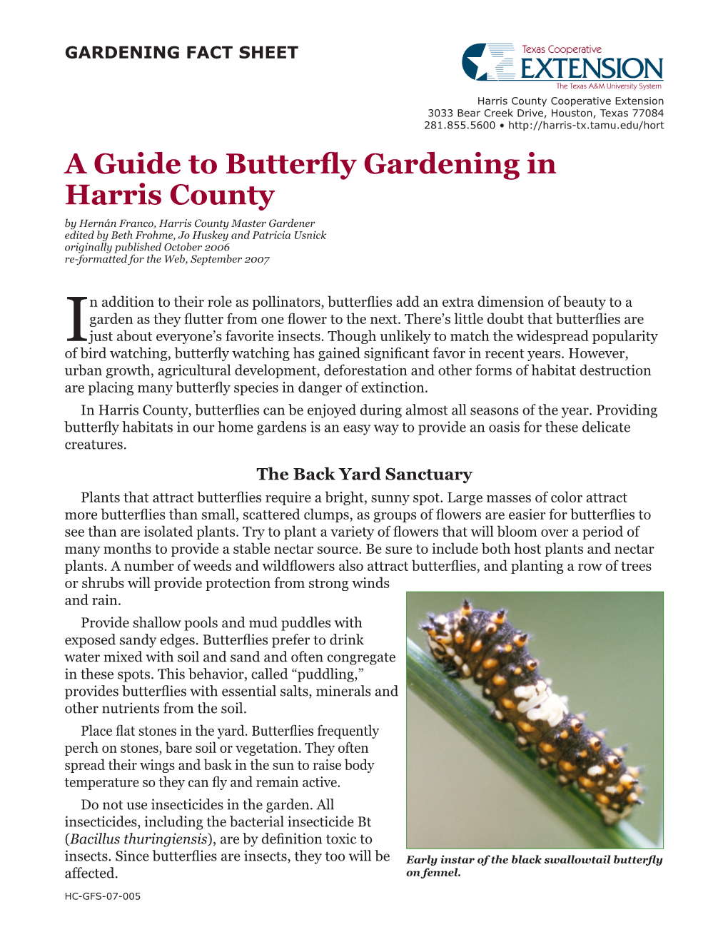 A Guide to Butterfly Gardening in Harris County