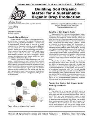 Building Soil Organic Matter for a Sustainable Organic Crop Production