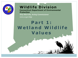 Part 1: Wetland Wildlife Values