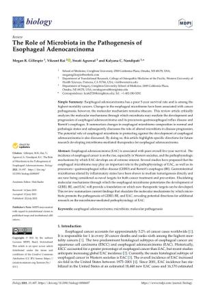 The Role of Microbiota in the Pathogenesis of Esophageal Adenocarcinoma