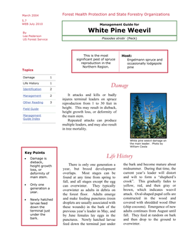 Management Guide for White Pine Weevil