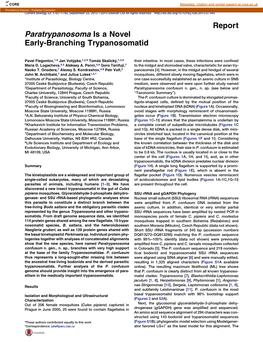 Paratrypanosoma Is a Novel Early-Branching Trypanosomatid