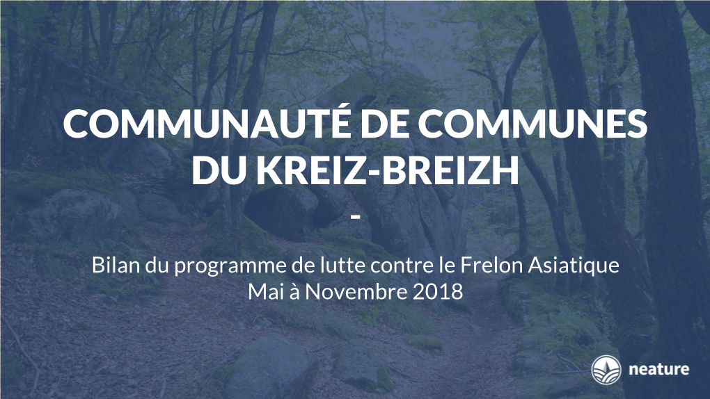 Bilan Du Programme De Lutte Contre Le Frelon Asiatique Mai À Novembre 2018 2