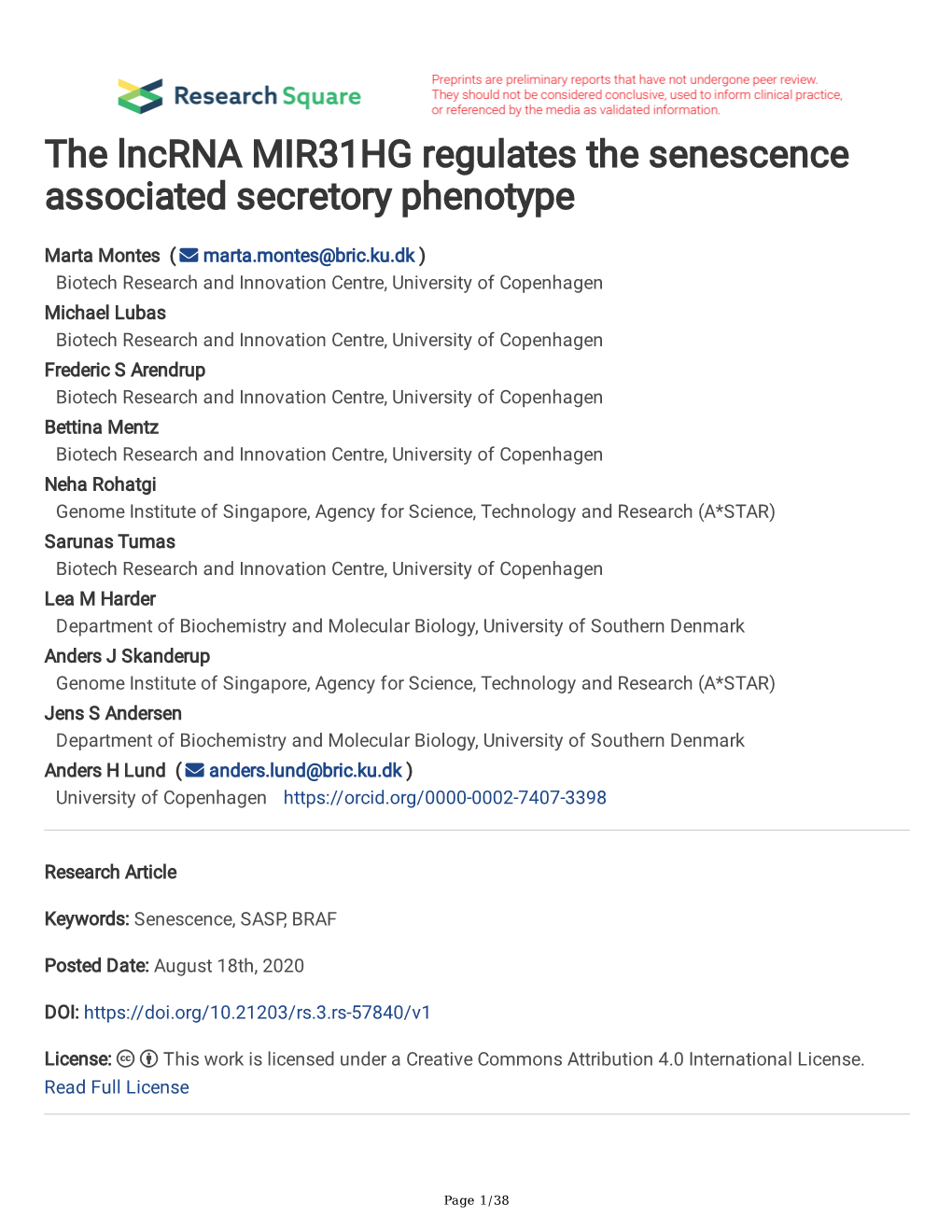 The Lncrna MIR31HG Regulates the Senescence Associated Secretory Phenotype