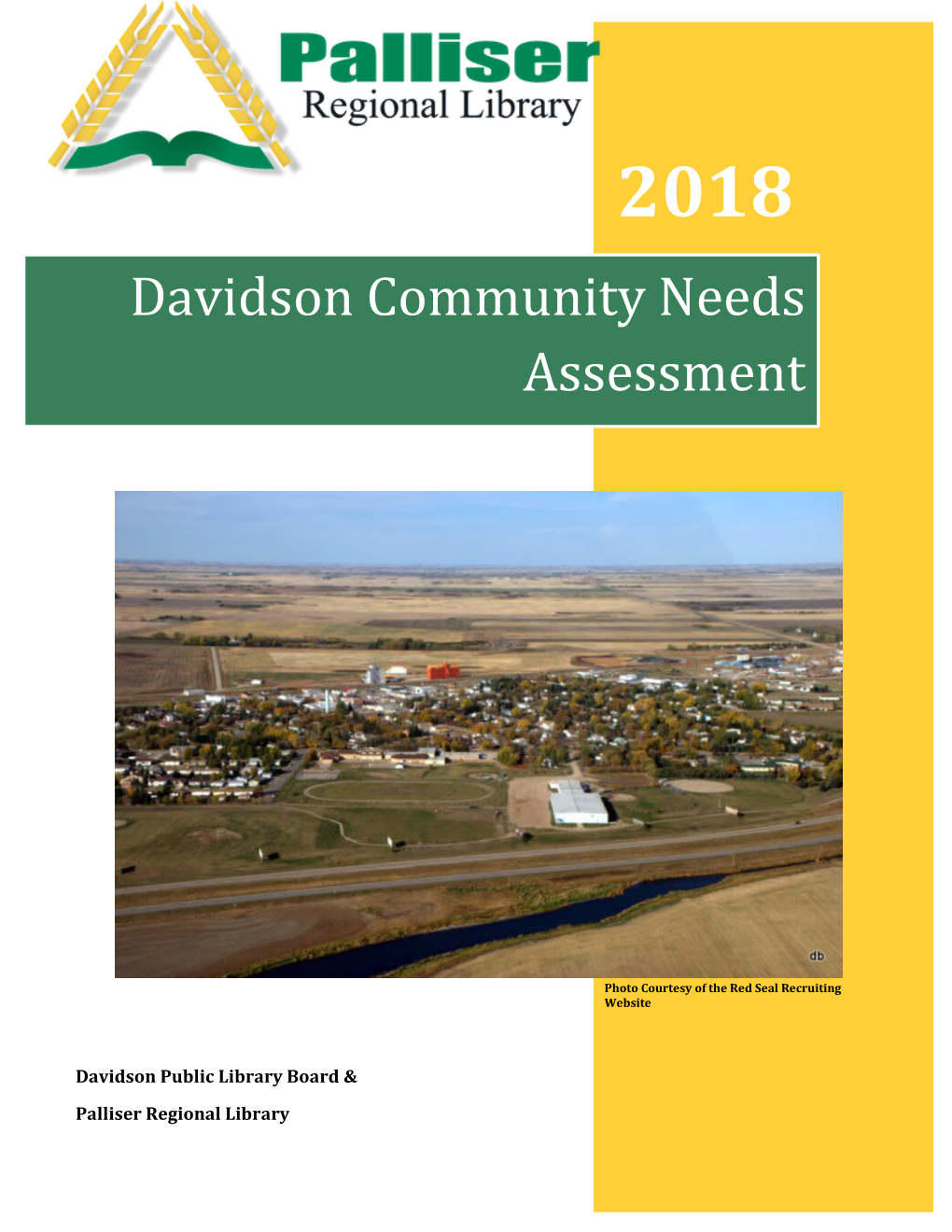 Davidson Community Needs Assessment