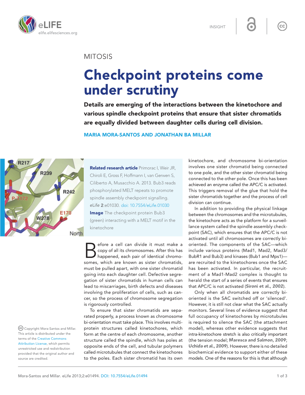 Checkpoint Proteins Come Under Scrutiny