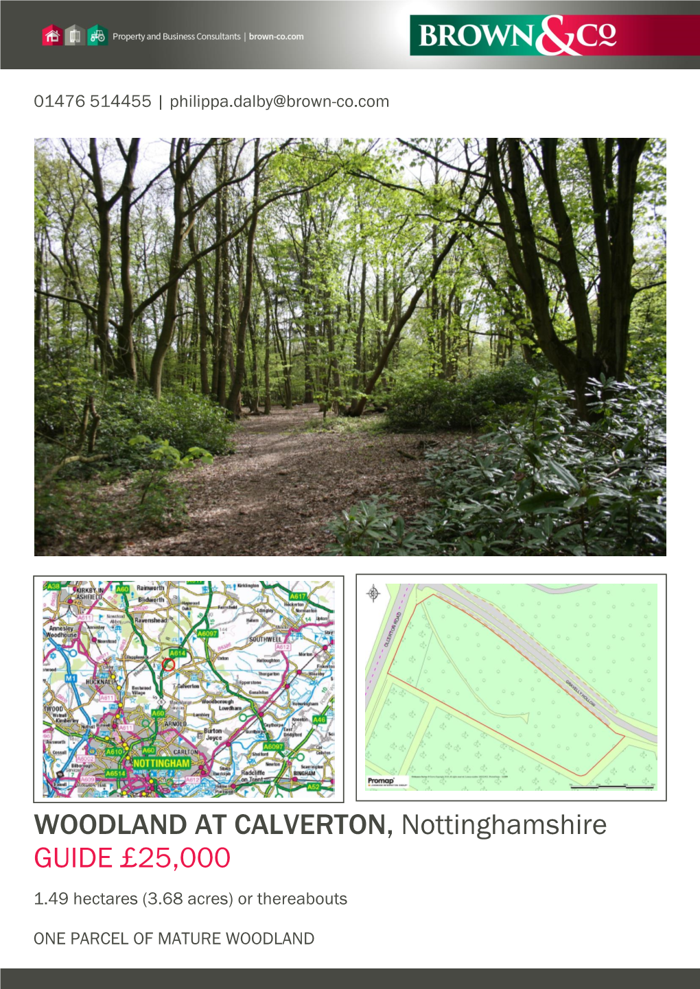 WOODLAND at CALVERTON, Nottinghamshire