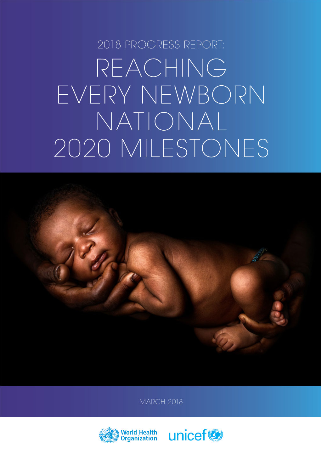 Reaching Every Newborn National 2020 Milestones