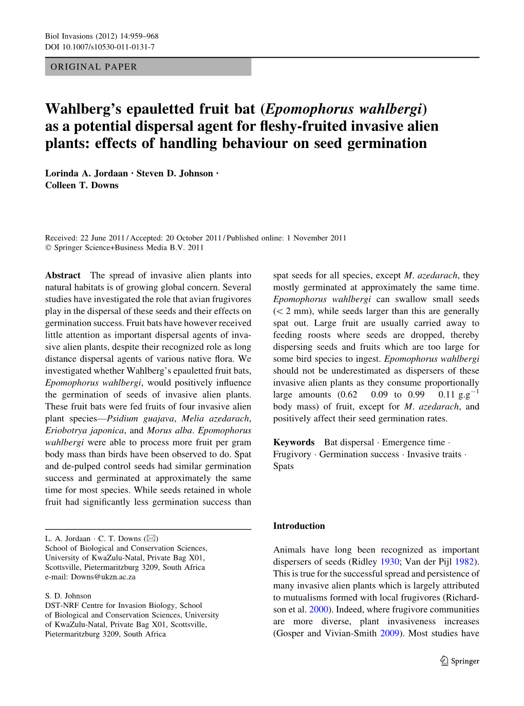 Wahlberg's Epauletted Fruit Bat (Epomophorus Wahlbergi) As A