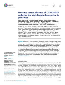 Presence Versus Absence of CYP734A50 Underlies the Style