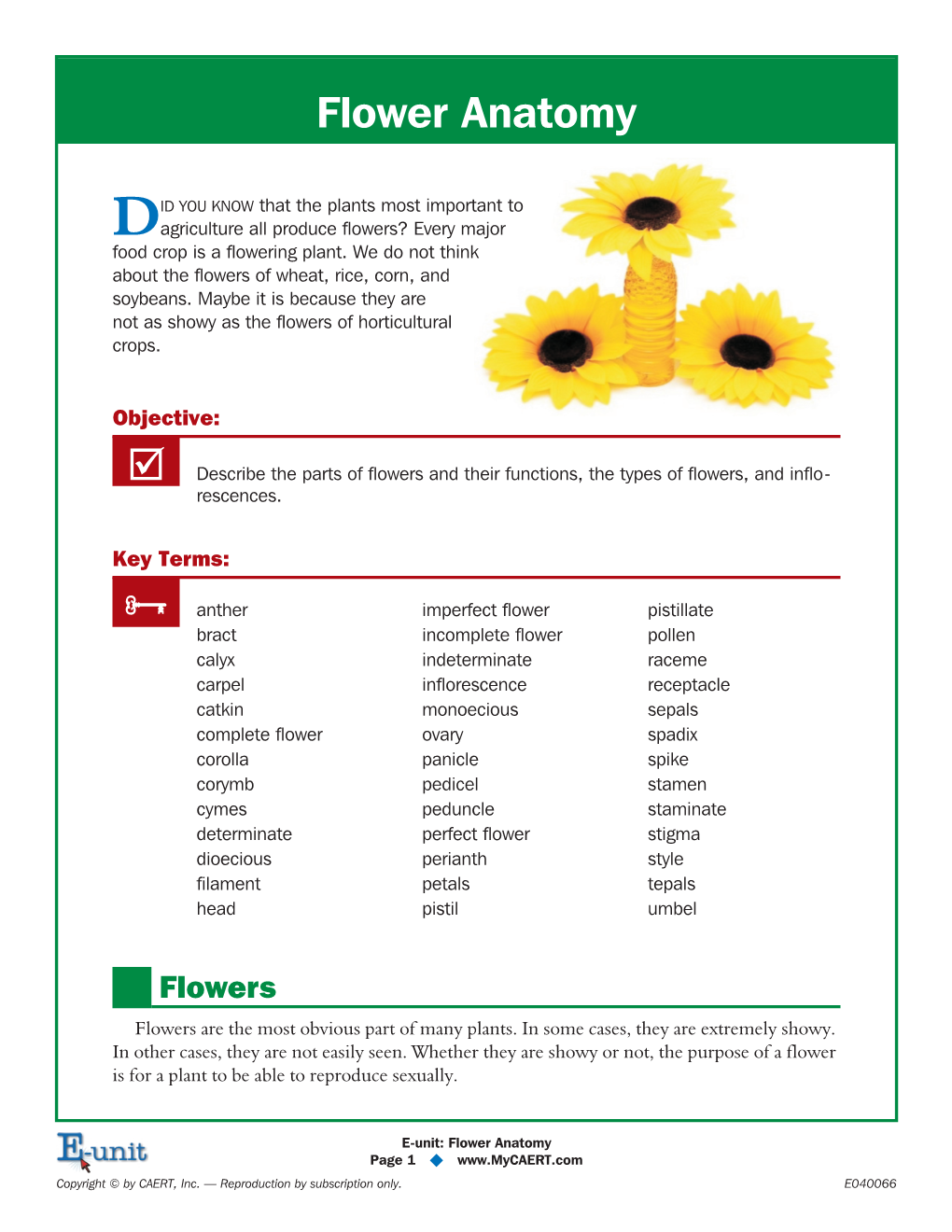 Flower Anatomy