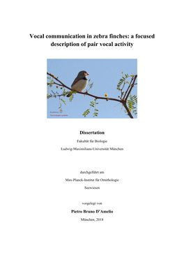 Vocal Communication in Zebra Finches: a Focused Description of Pair Vocal Activity