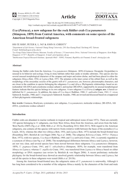 A New Subgenus for the Rock Fiddler Crab Uca Panamensis (Stimpson, 1859) from Central America, with Comments on Some Species of the American Broad-Fronted Subgenera