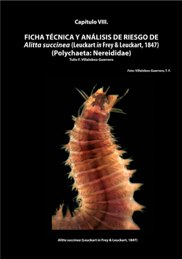 FICHA TÉCNICA Y ANÁLISIS DE RIESGO DE Alitta Succinea (Leuckart in Frey & Leuckart, 1847) (Polychaeta: Nereididae) Tulio F