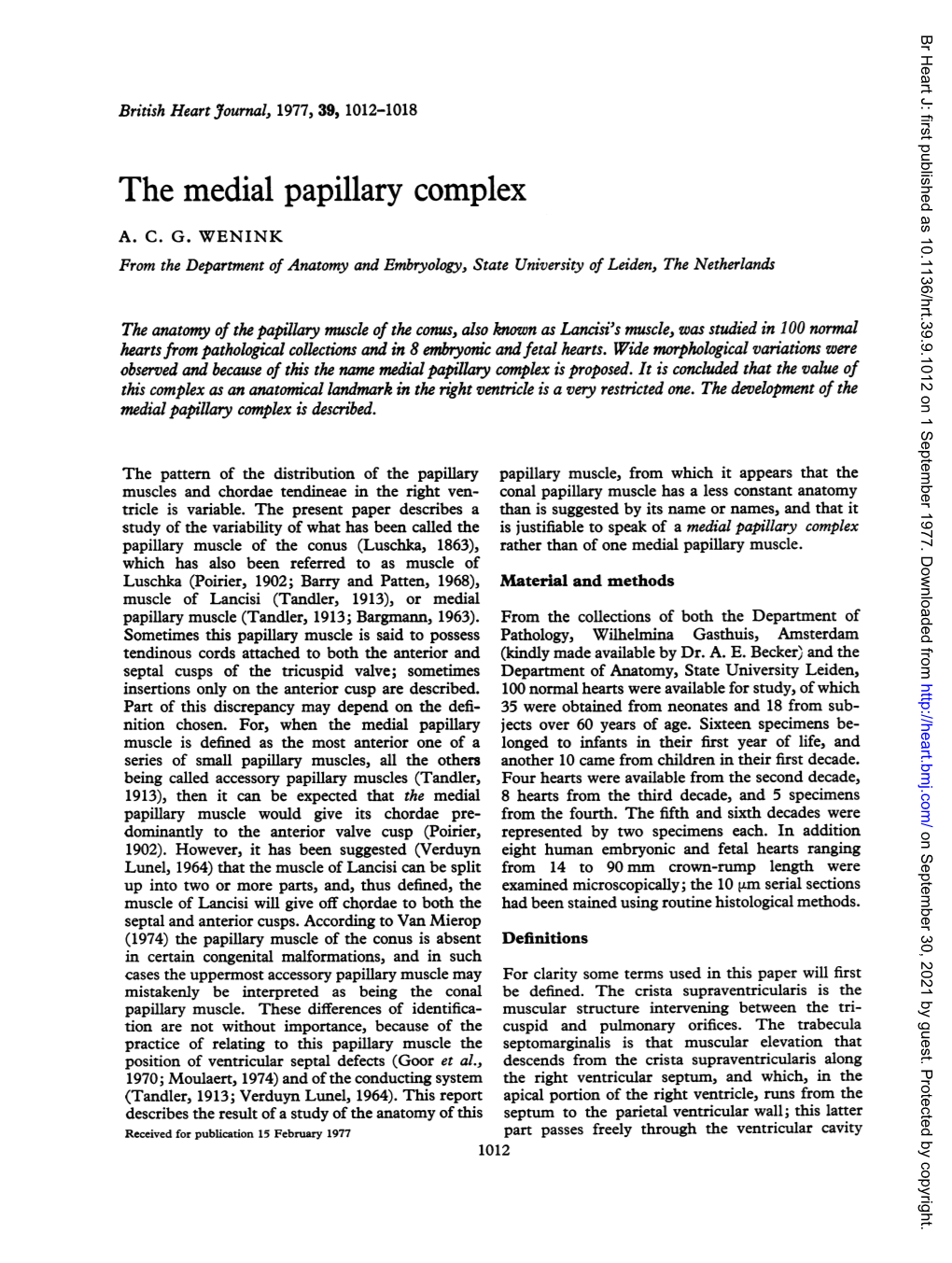The Medial Papillary Complex A