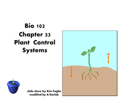 Bio 102 Chapter 33 Plant Control Systems