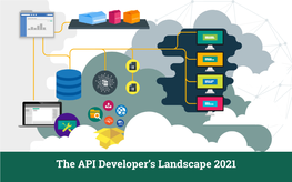 The API Developer's Landscape 2021
