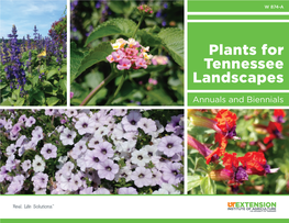 Plants for Tennessee Landscapes
