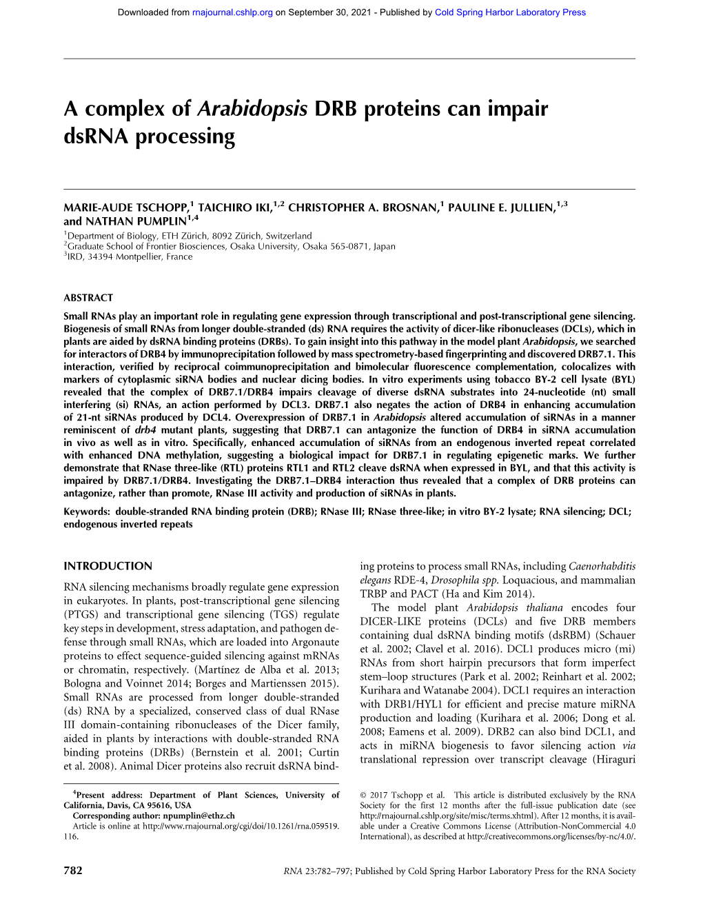 A Complex of Arabidopsis DRB Proteins Can Impair Dsrna Processing