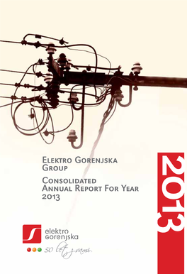Elektro Gorenjska Group Consolidated Annual Report for Year 2013 LP EG13 - Platnica Prednja - Za Tisk.Qxd 11.6.2014 12:17 Page 1