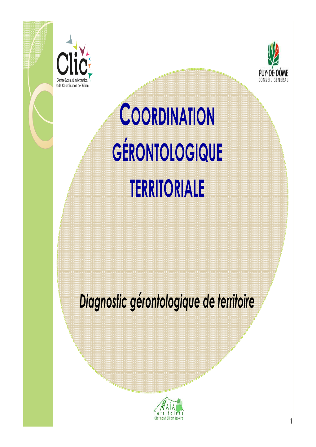 Diagnostic Géronto De Territoire