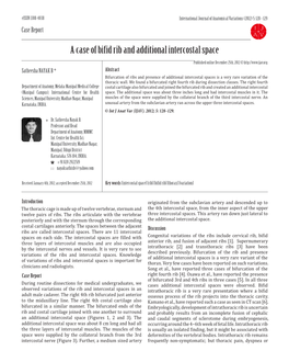 A Case of Bifid Rib and Additional Intercostal Space