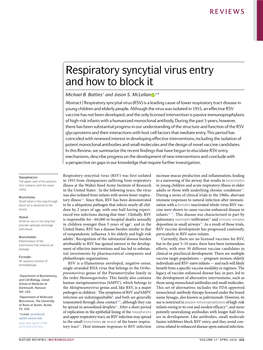 Respiratory Syncytial Virus Entry and How to Block It