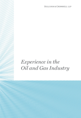 Experience in the Oil and Gas Industry “They Go to Great Lengths to Understand Your Industry, Business and Specific Objectives