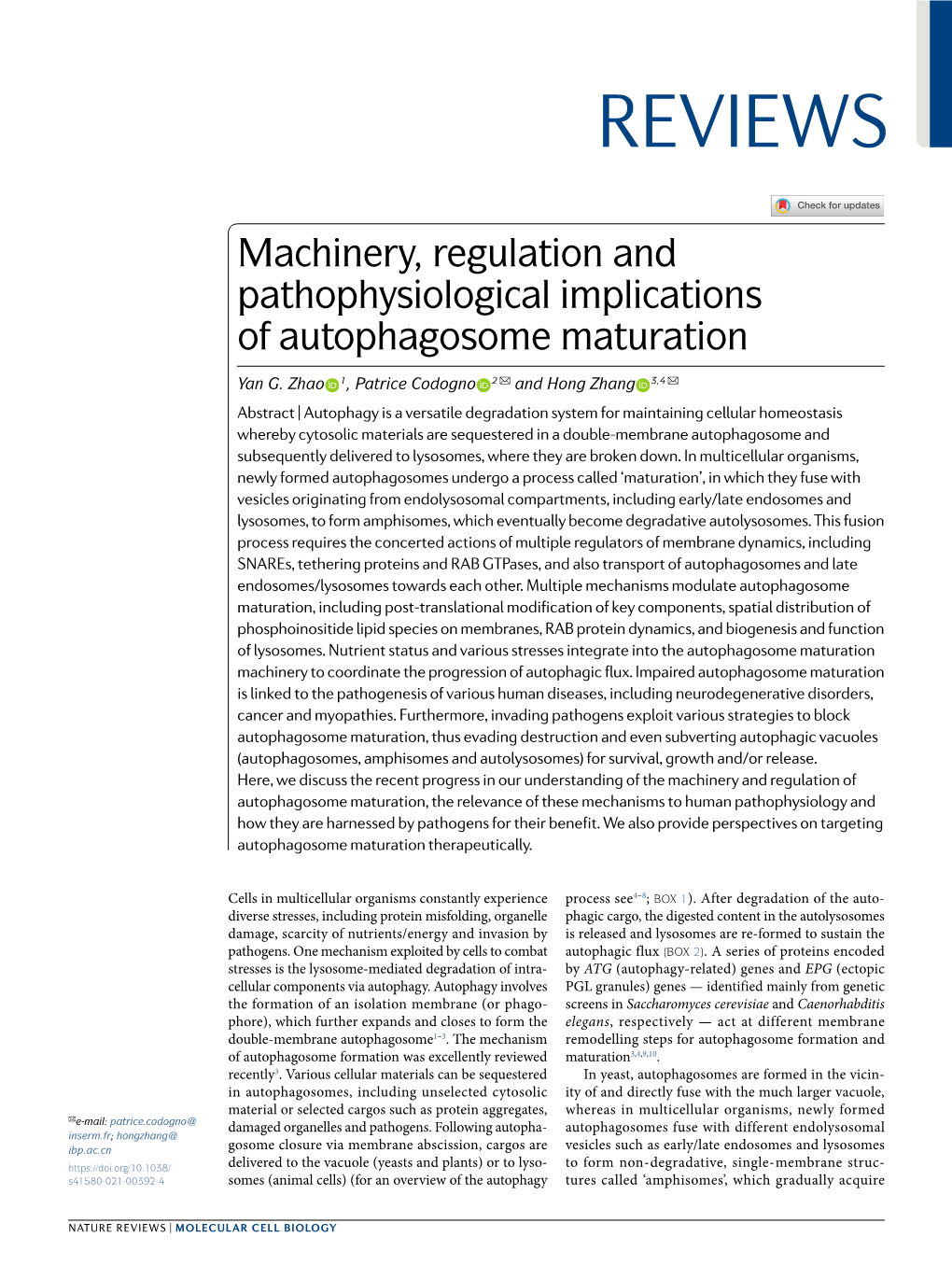 Machinery, Regulation and Pathophysiological Implications of Autophagosome Maturation